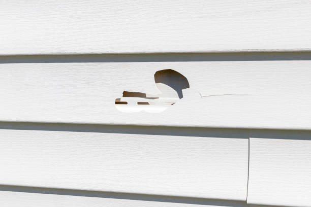 Best Residential Vinyl Siding Installation  in Oakhurst, CA